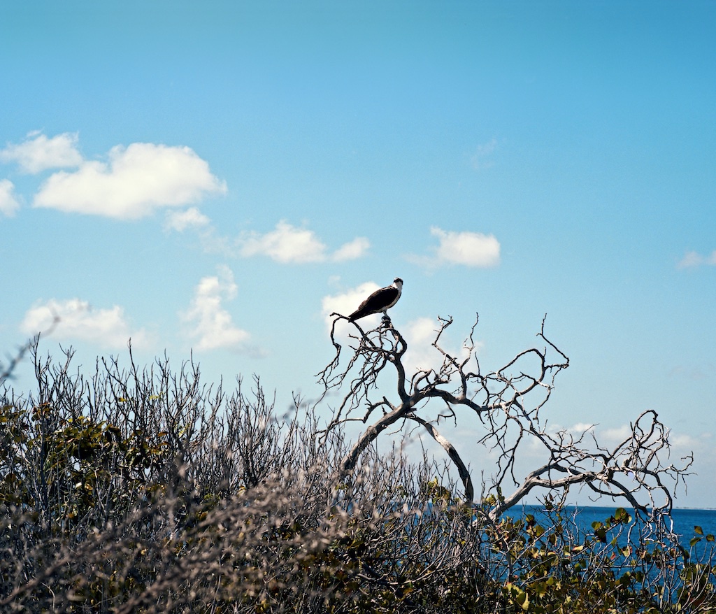 Washington Slagbaai National Park, Bonaire