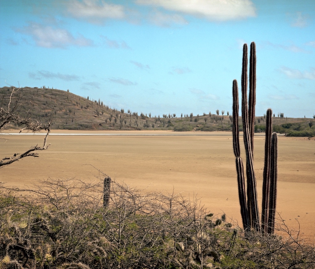 Washington Slagbaai National Park, Bonaire