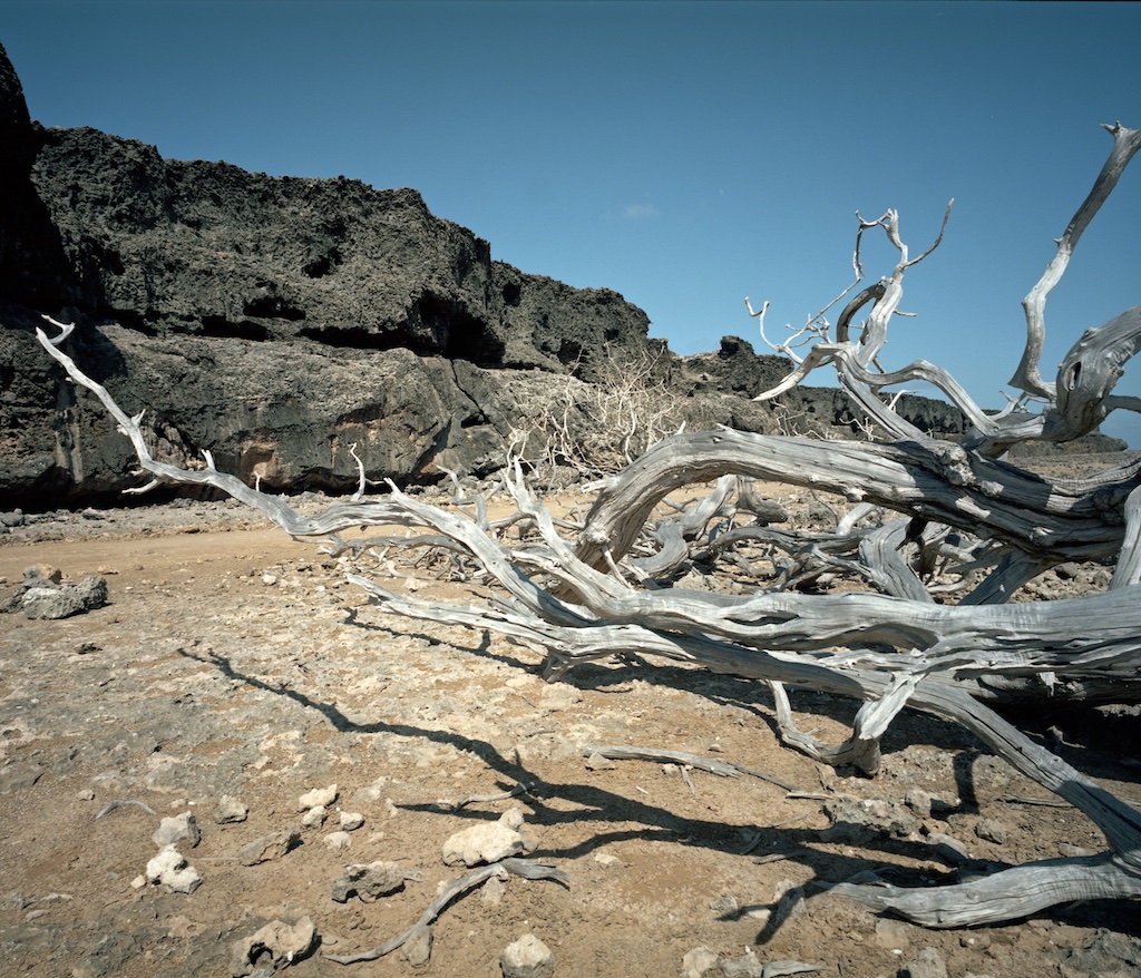 Washington Slagbaai National Park, Bonaire