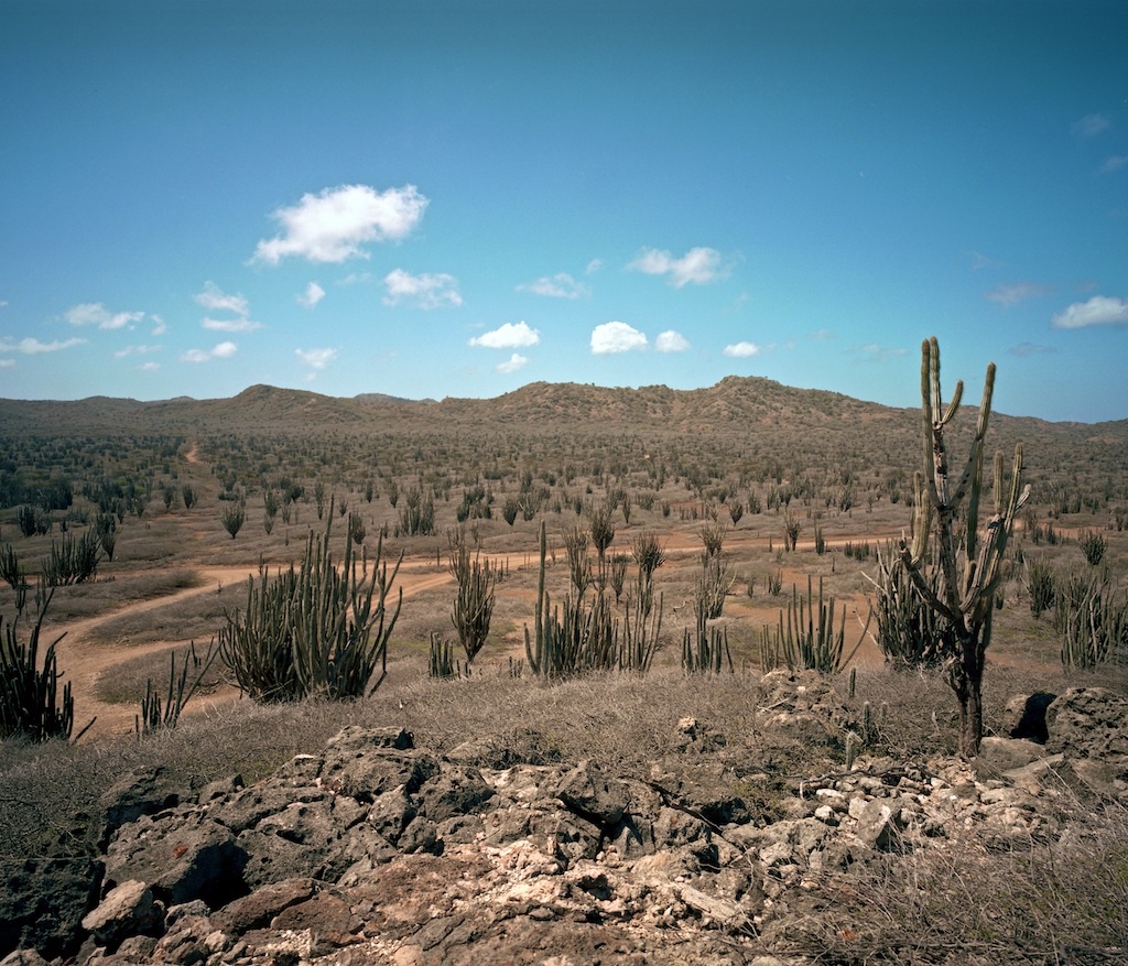 Washington Slagbaai National Park, Bonaire