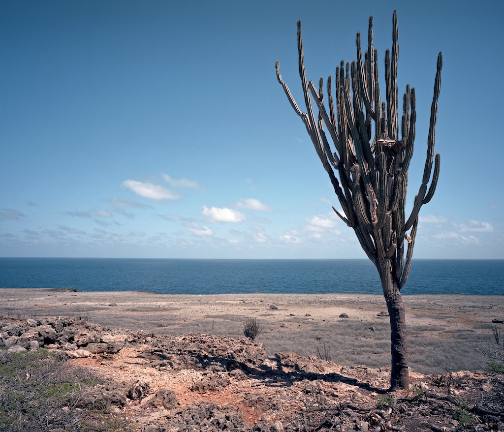 Washington Slagbaai National Park, Bonaire