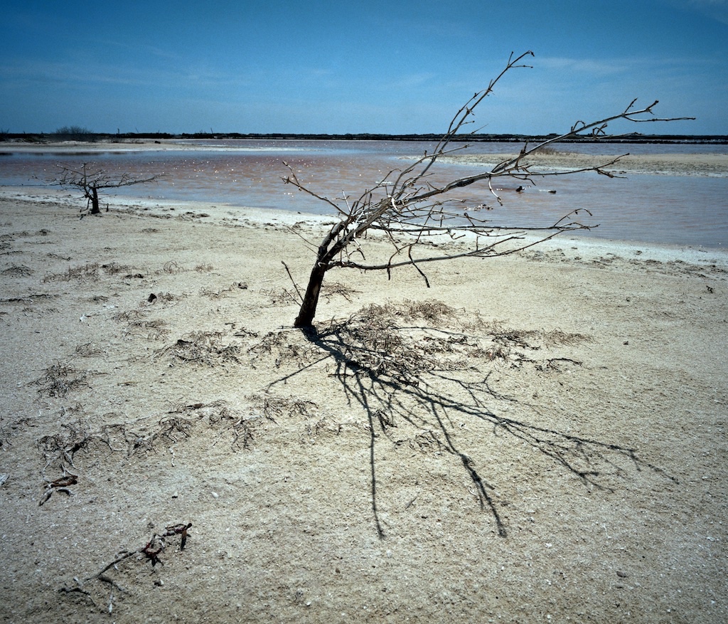 Lac Cai, Bonaire