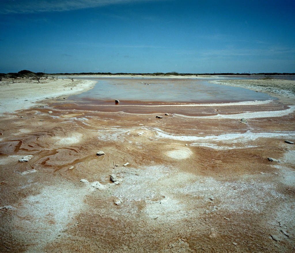 Lac Cai, Bonaire