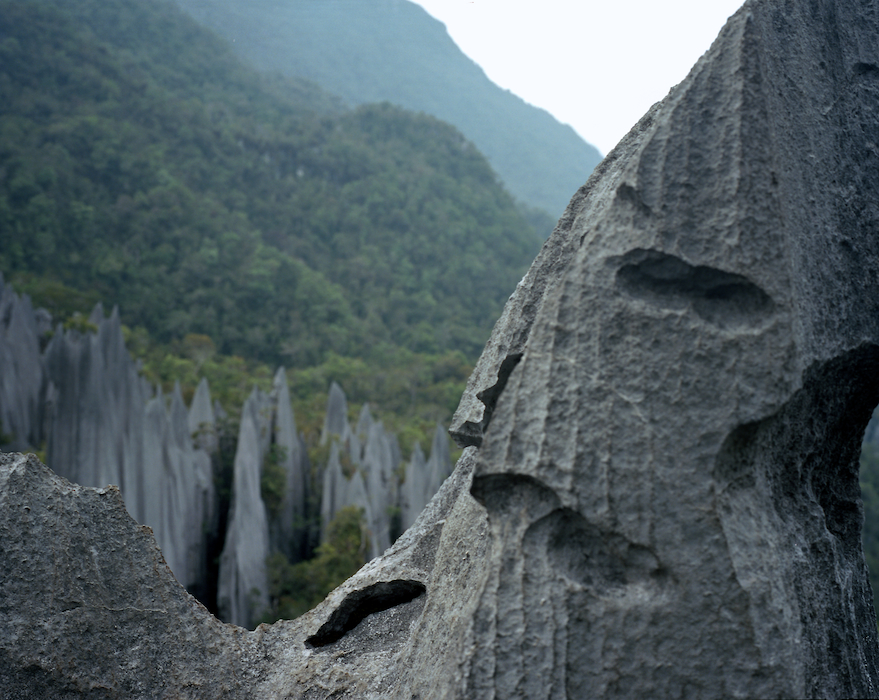 The Pinnacles, Gunung Mulu National Park, Sarawak