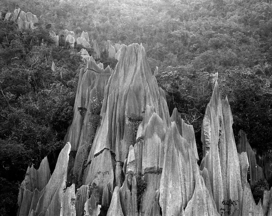 The Pinnacles, Gunung Mulu National Park, Sarawak
