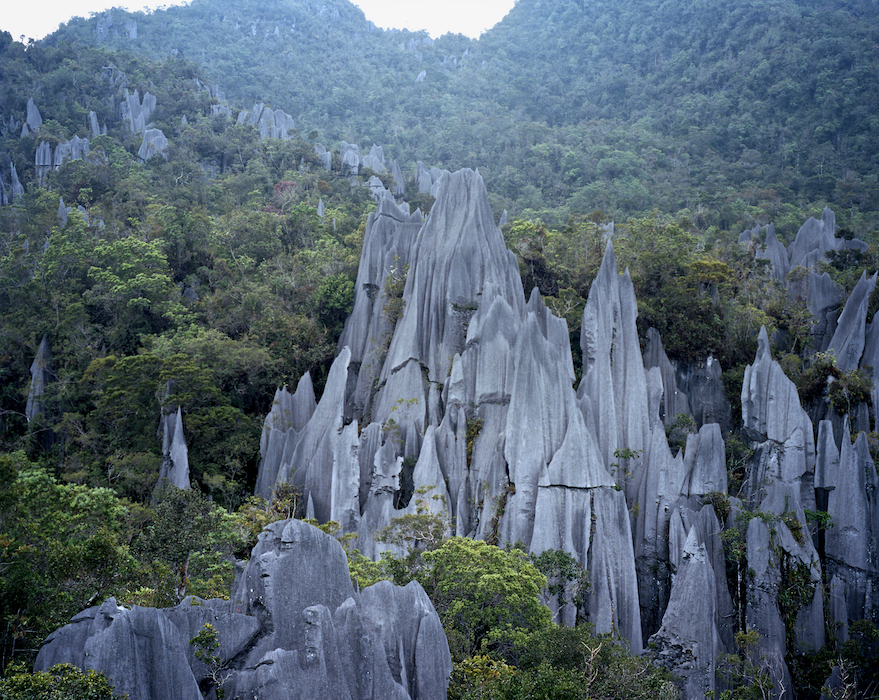 The Pinnacles, Gunung Mulu National Park, Sarawak