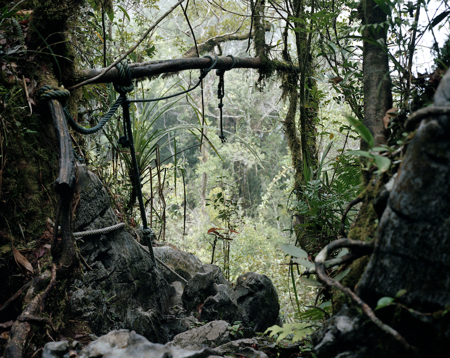 The Pinnacles, Gunung Mulu National Park, Sarawak
