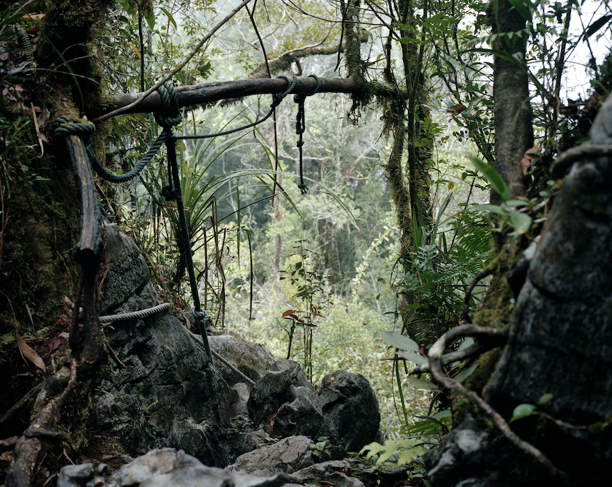 The Pinnacles, Gunung Mulu National Park, Sarawak