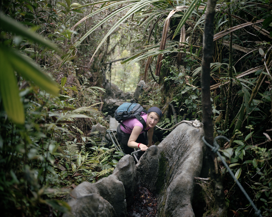 The Pinnacles, Gunung Mulu National Park, Sarawak