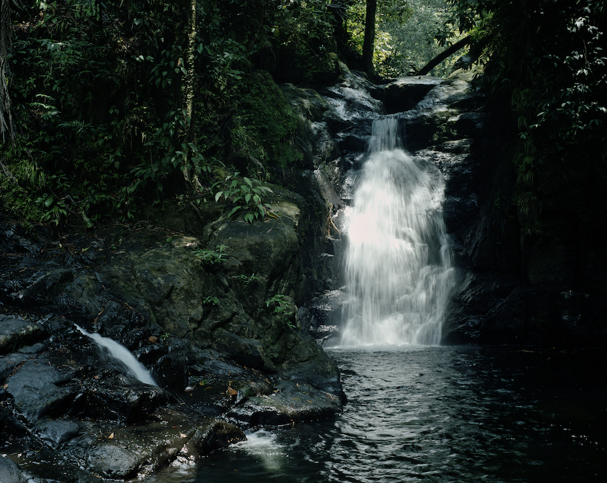 Garden of Eden, Gunung Mulu National Park, Sarawak