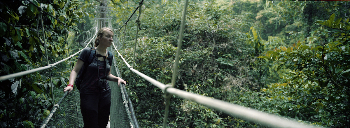 Cannopy Walk, Gunung Mulu National Park, Sarawak