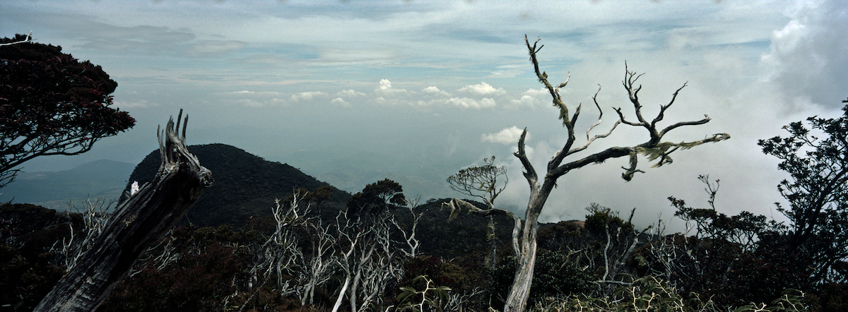 Mount Kinabalu, Sabah