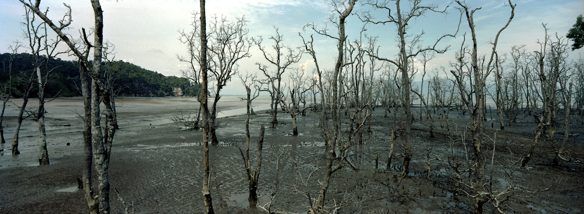 Bako National Park, Kuching, Sarawak