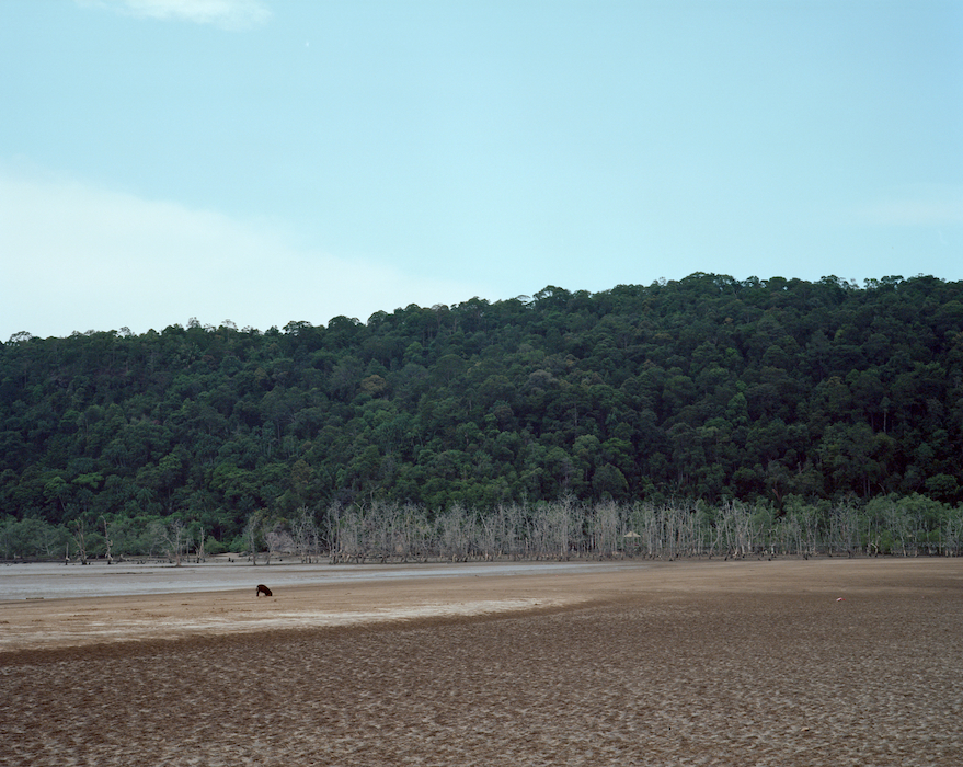 Bako National Park, Kuching, Sarawak