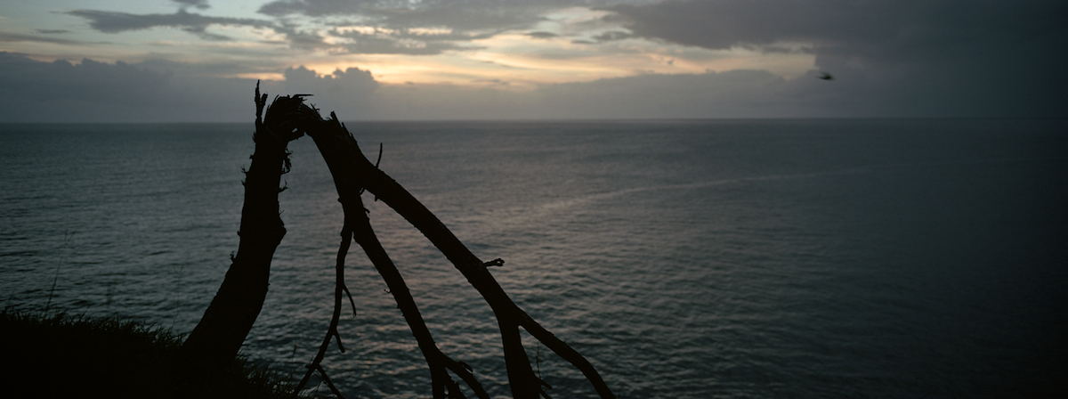 Pointe Noire, Basse-Terre. Guadeloupe