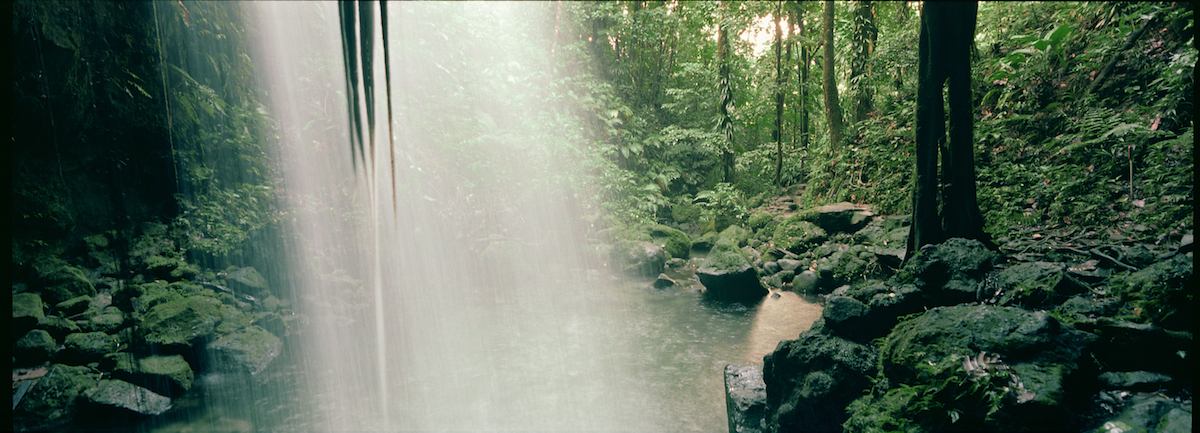 Emerald Pool, Dominica