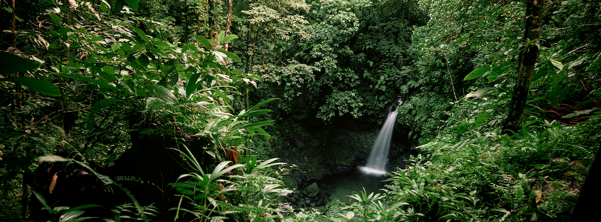 Emerald Pool, Dominica