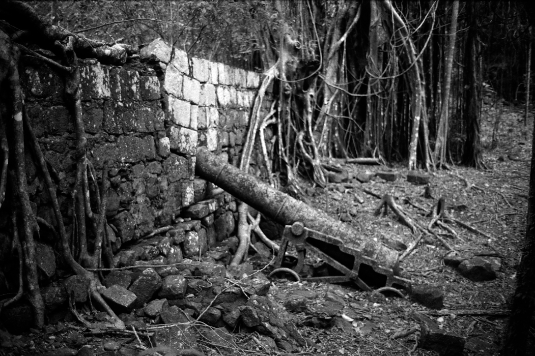 Carbits National Park, Portsmouth, Dominica