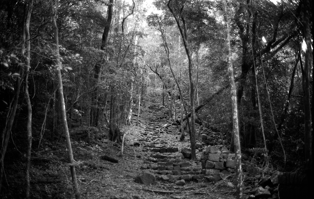 Carbits National Park, Portsmouth, Dominica