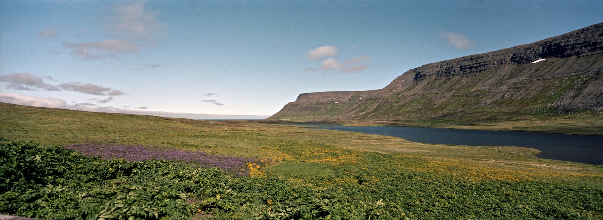 Sæbol, Hornstrandir, Westfjords