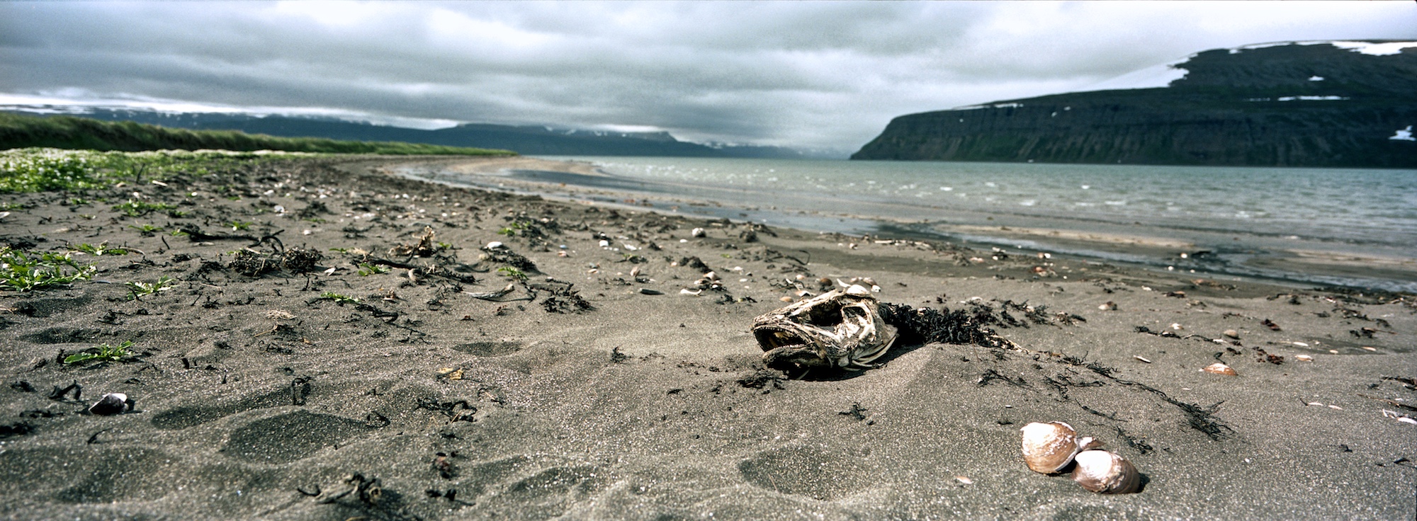 Hesteryi, Hornstrandir, Westfjords