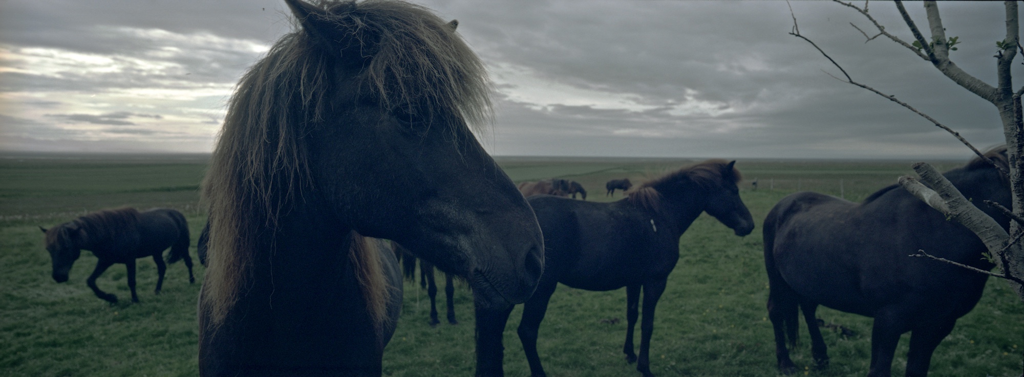 Svínafell, Southeast Iceland