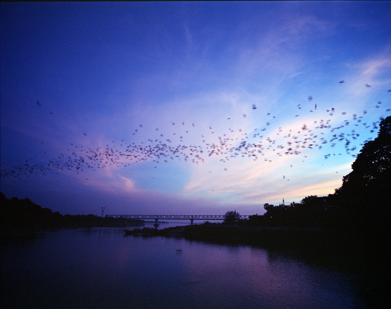 Myanmar, Hpan-an, Bat Cave