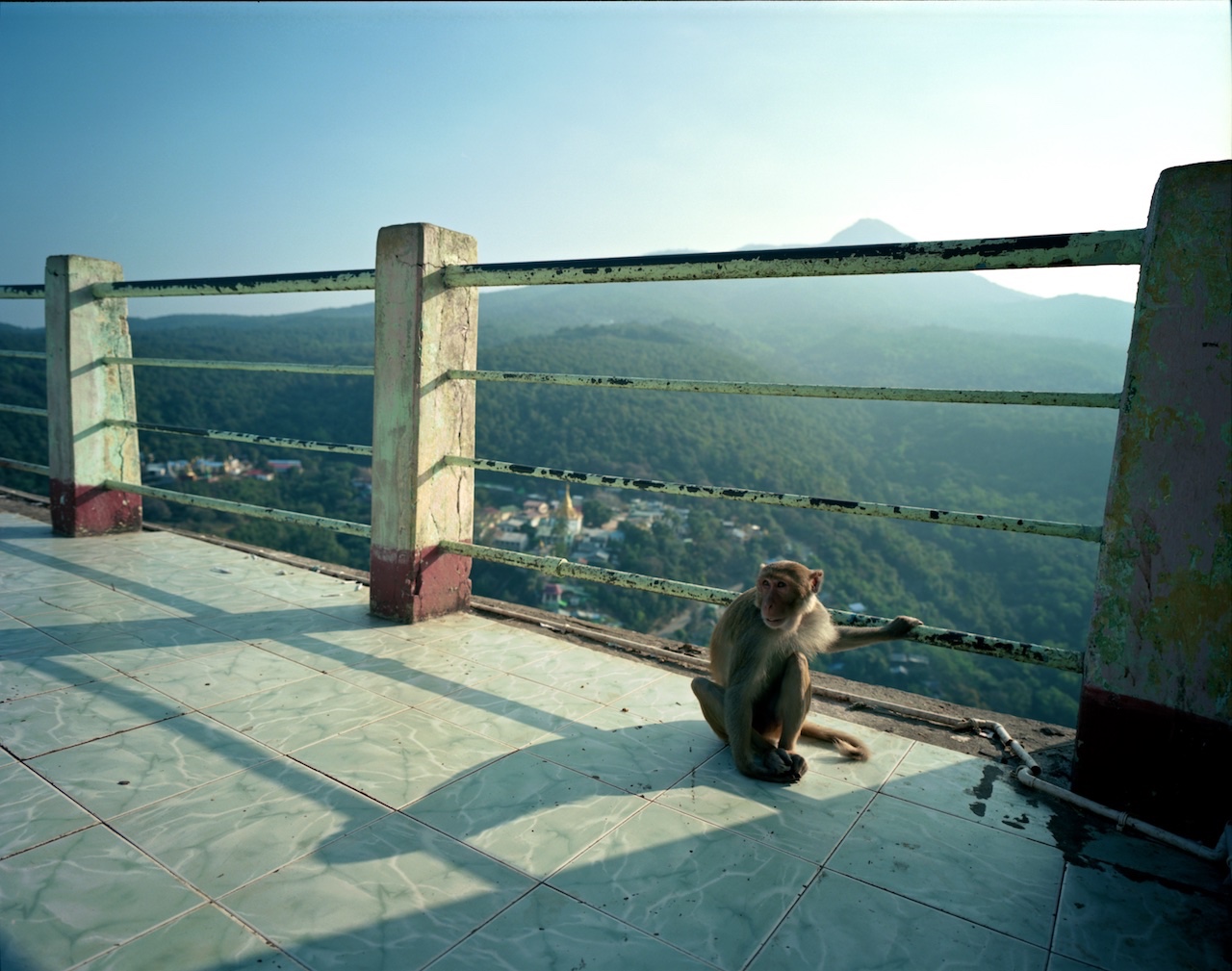 Myanmar, Mount Popa, Popa Taung Kalat Temple