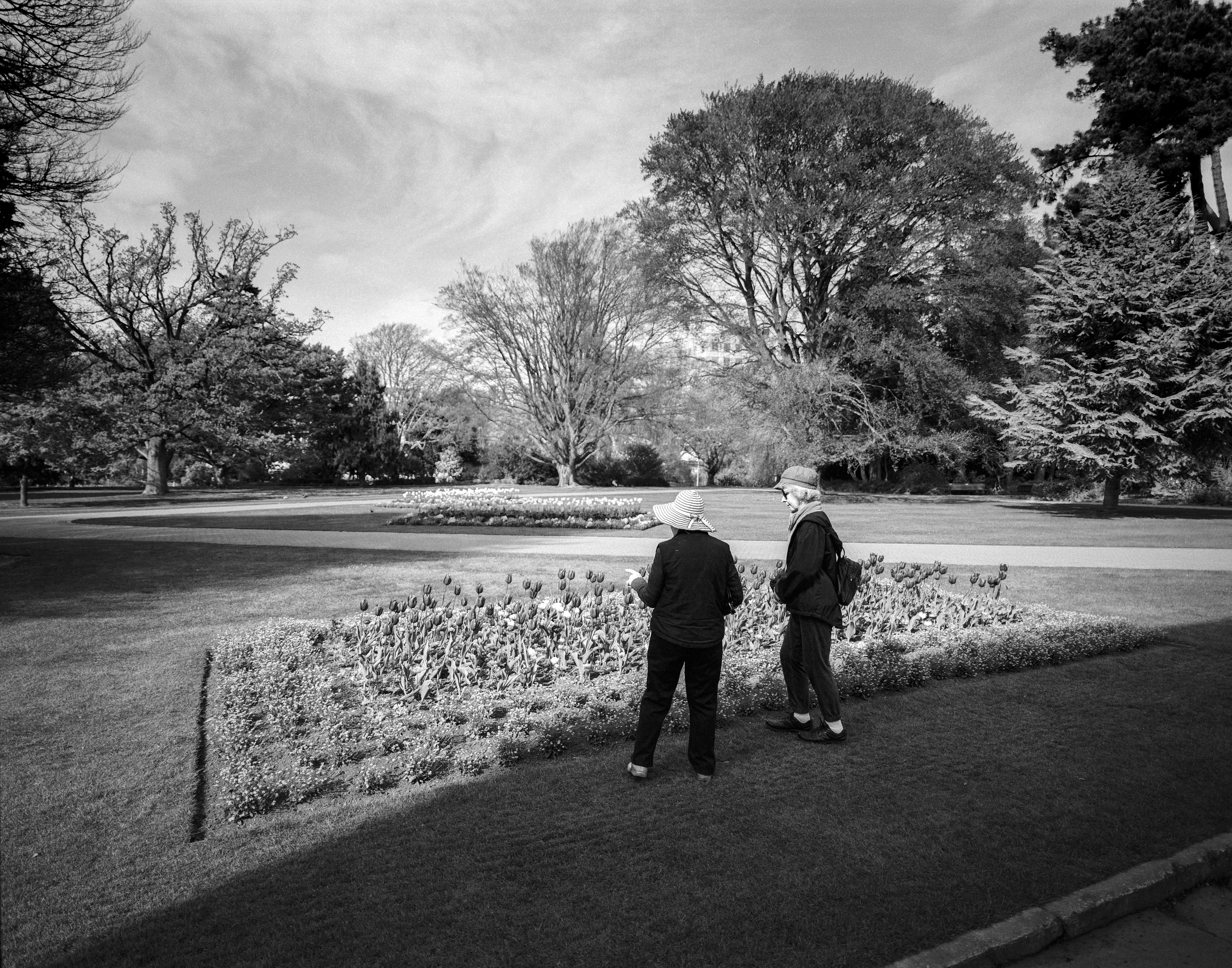 Christchurch Botanic Gardens, Canterbury, South Island