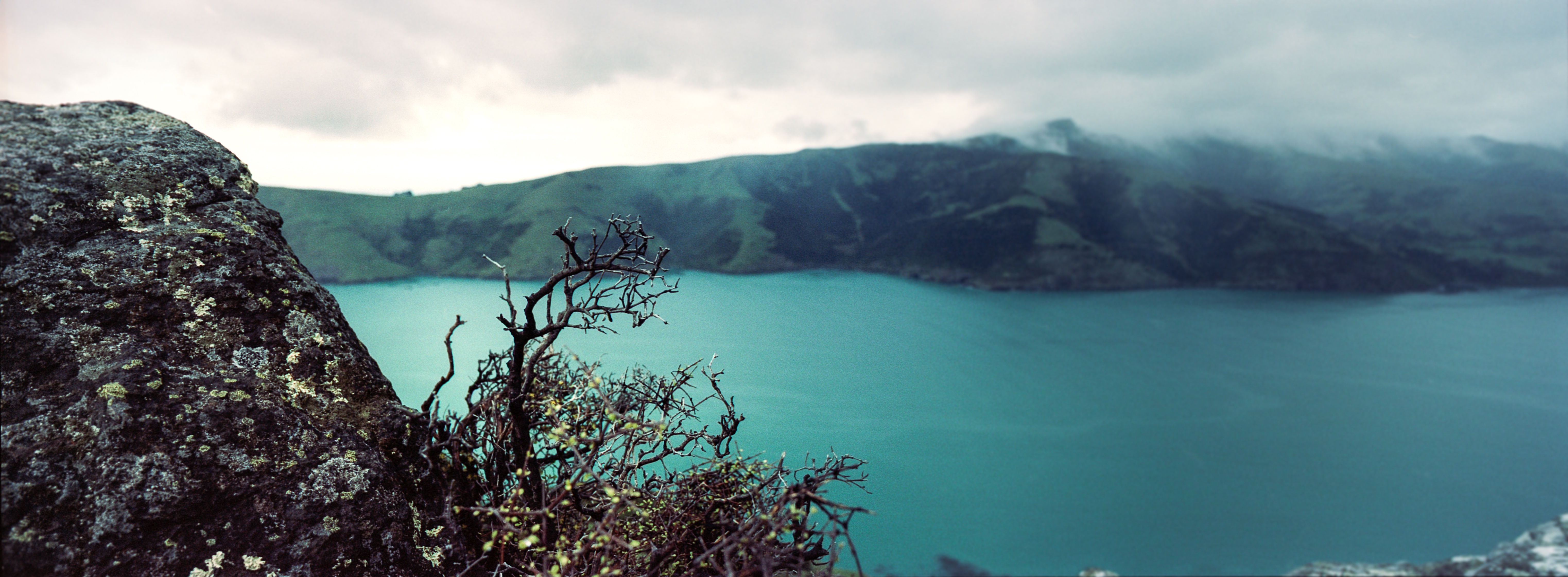 Onuku, Banks Peninsula Track, Canterbury, South Island