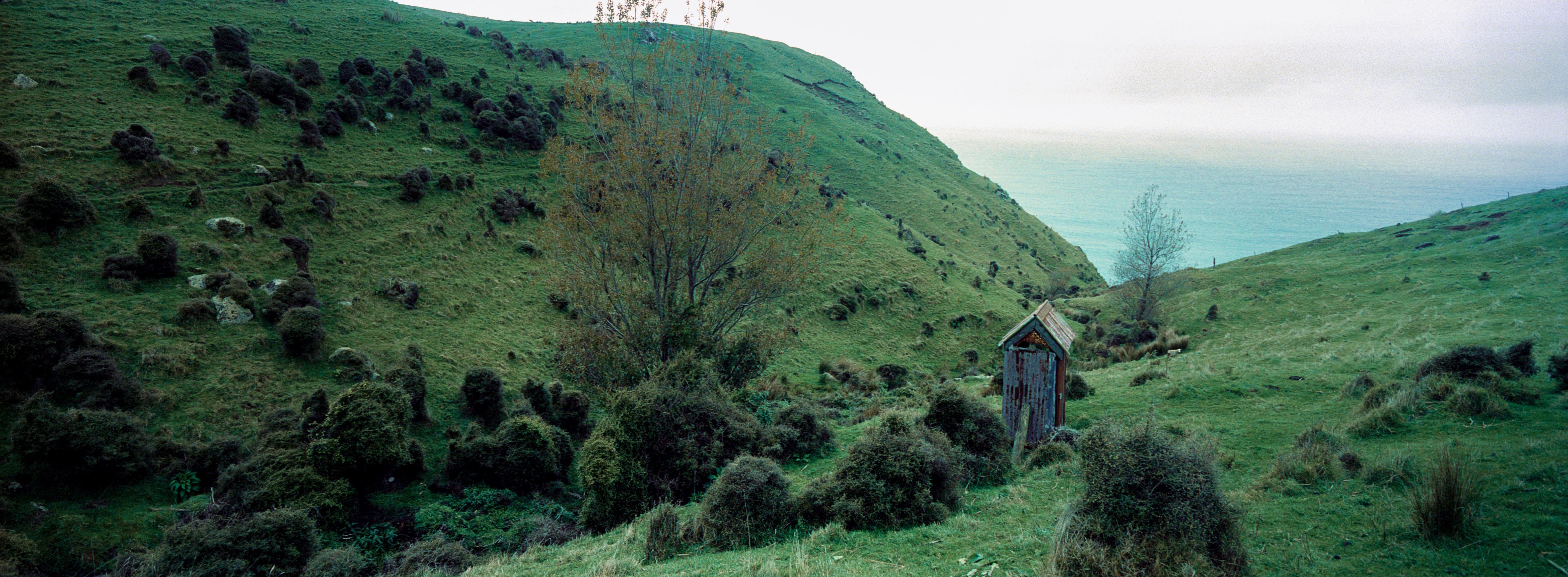 Flea Bay, Banks Peninsula Track, Akaroa, Canterbury, South Island