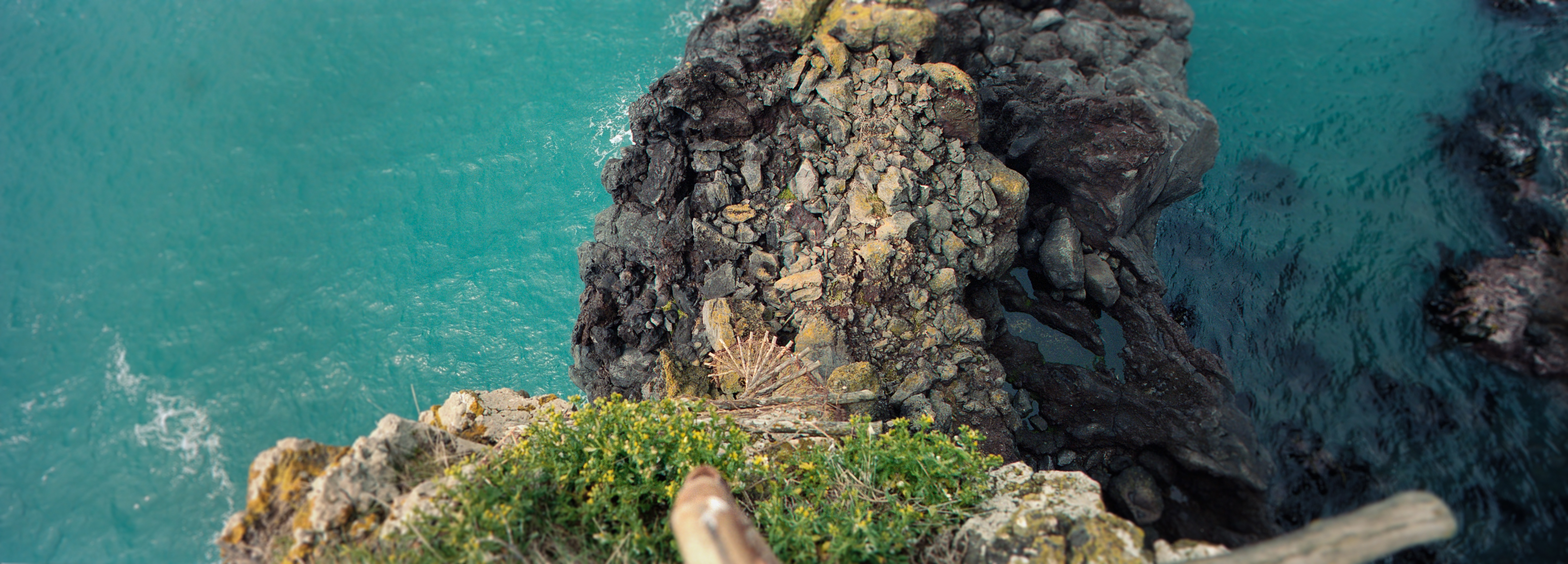 No Albatros Point, Banks Peninsula Track, Akaroa, Banks Peninsula Track, Akaroa