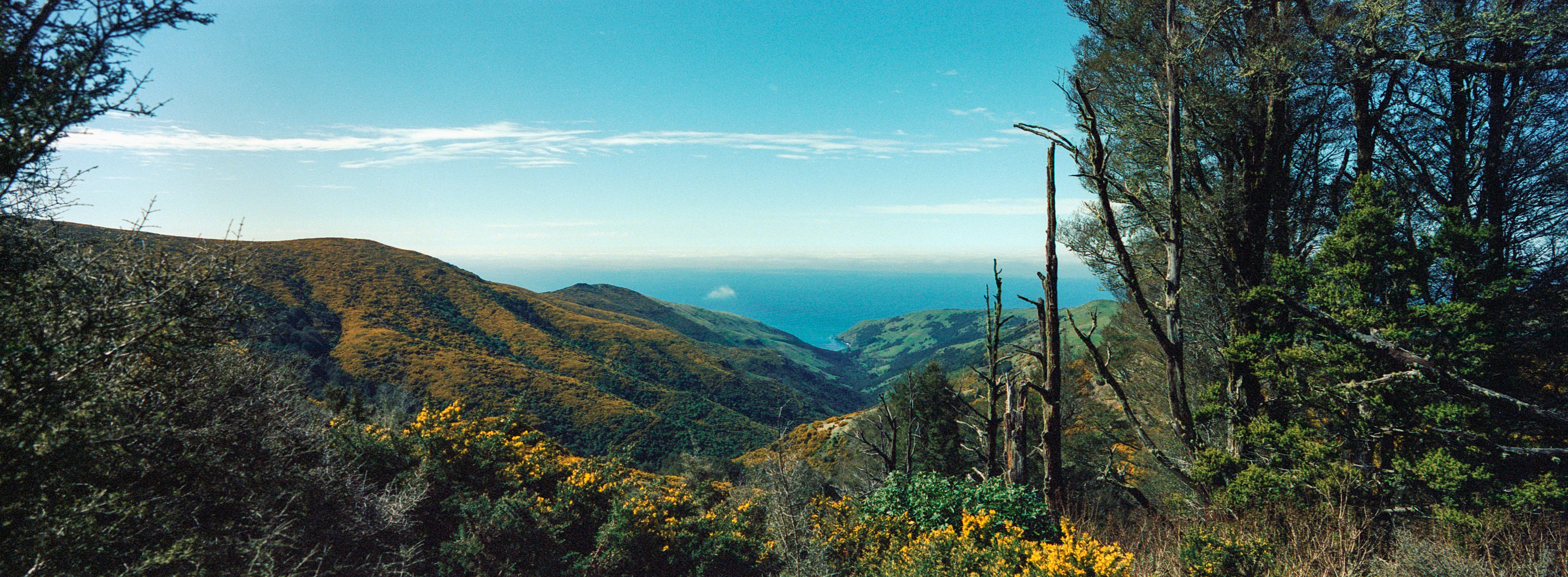 Stony Bay, Banks Peninsula Track, Akaroa, Canterbury, South Island