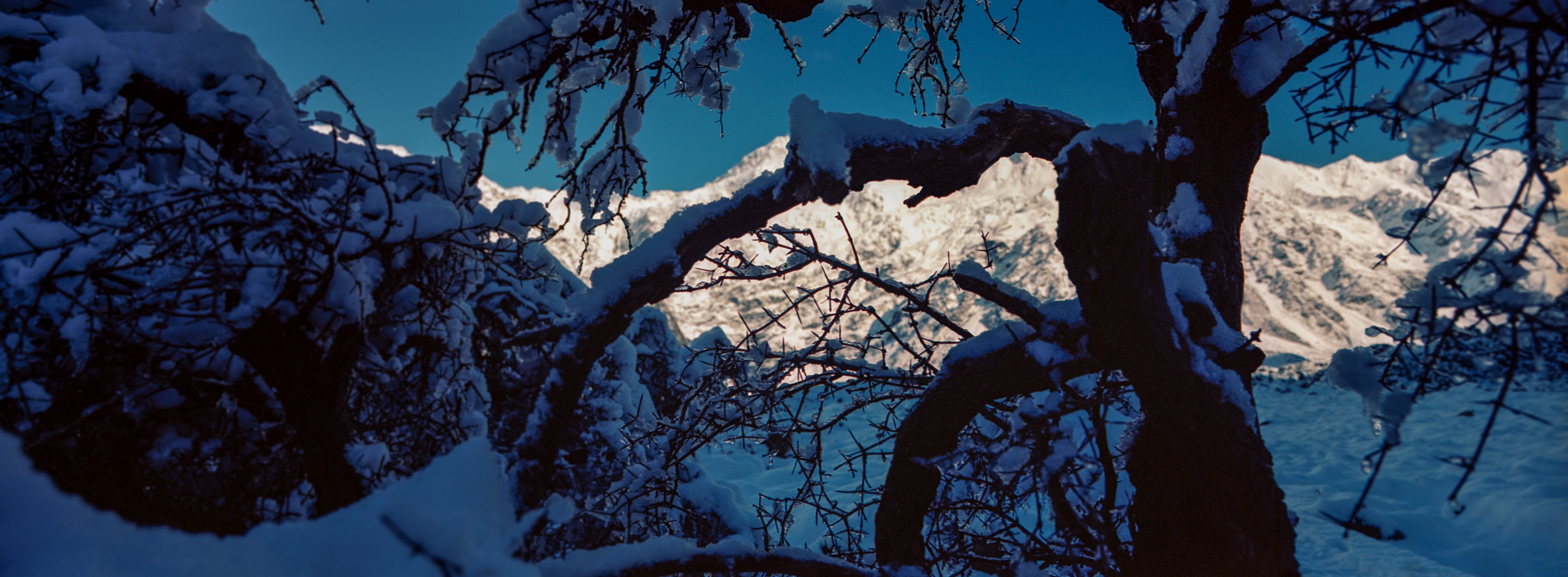 White Horse Hill, Aoraki / Mt. Cook National Park, Canterbury, South Island