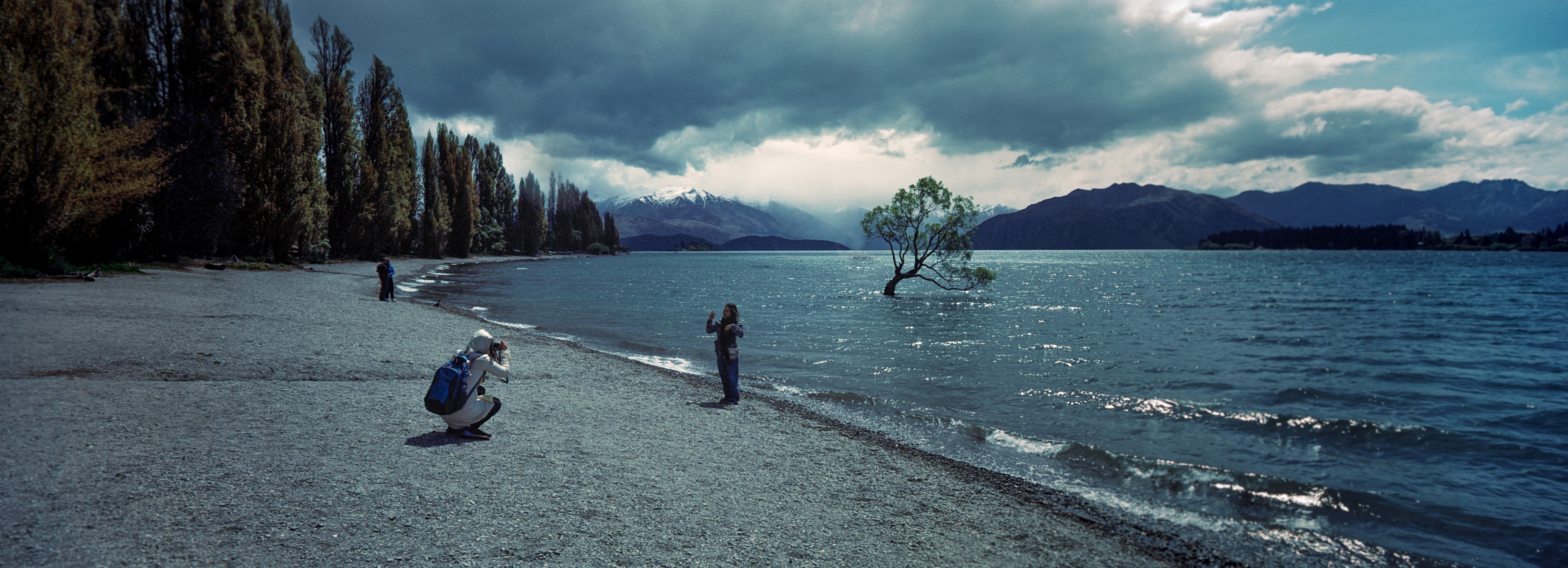 The Wanaka Tree, Wanaka, Otago, South Island