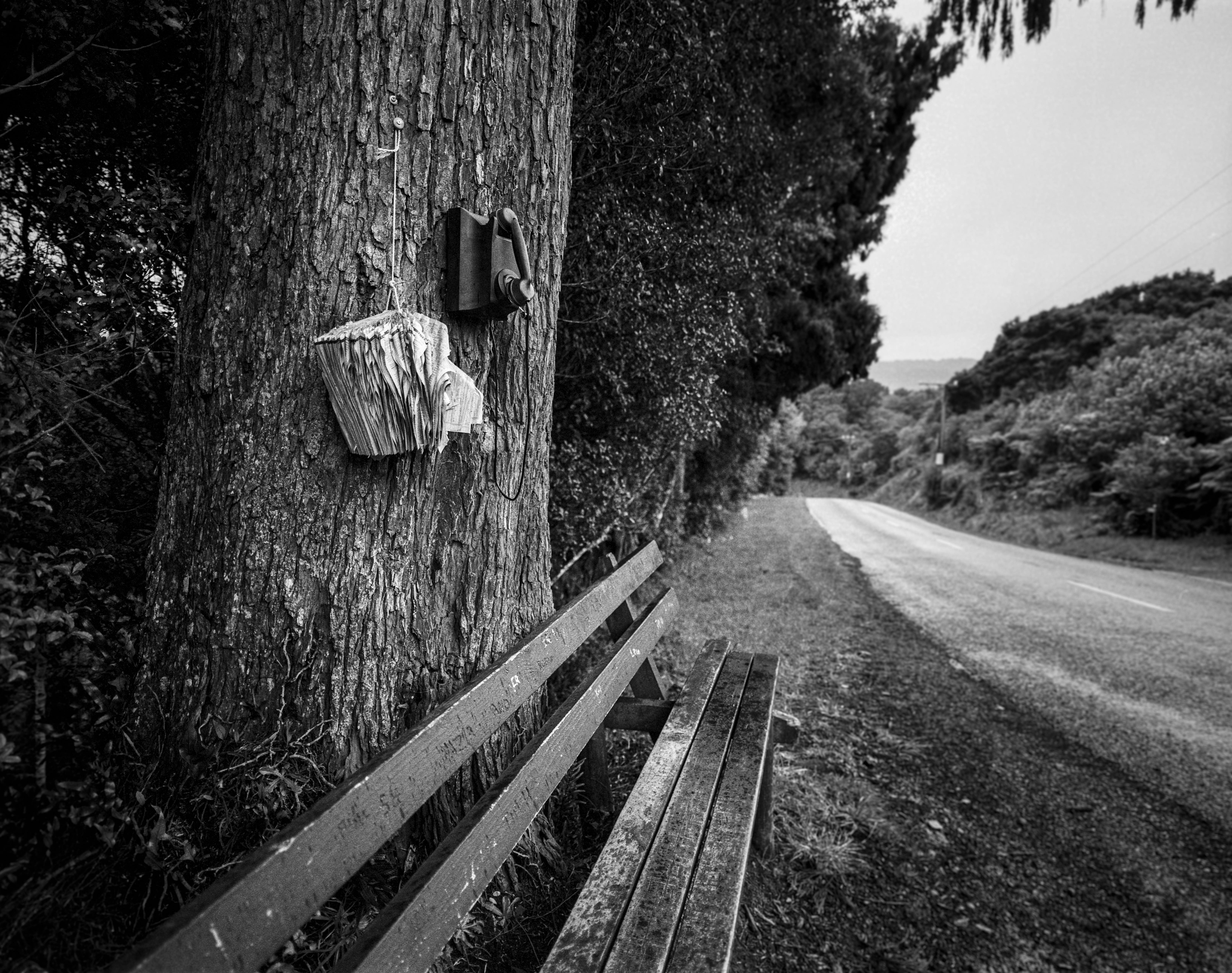 Oban, Steward Island, Southland, South Island, New Zealand