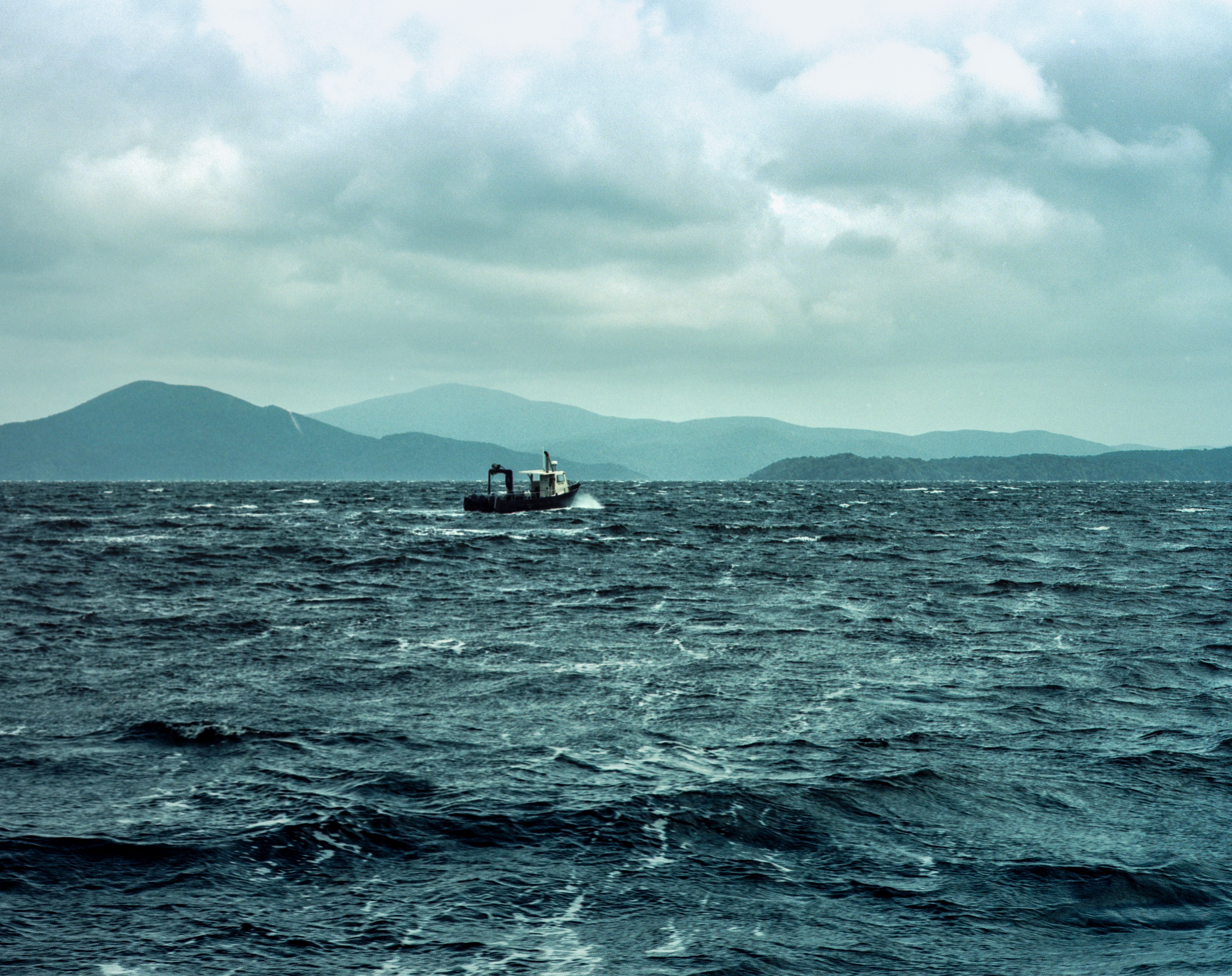 Paterson Inlet / Whaka A Te Wera, Ulva Island / Steward Island, Southland, South Island