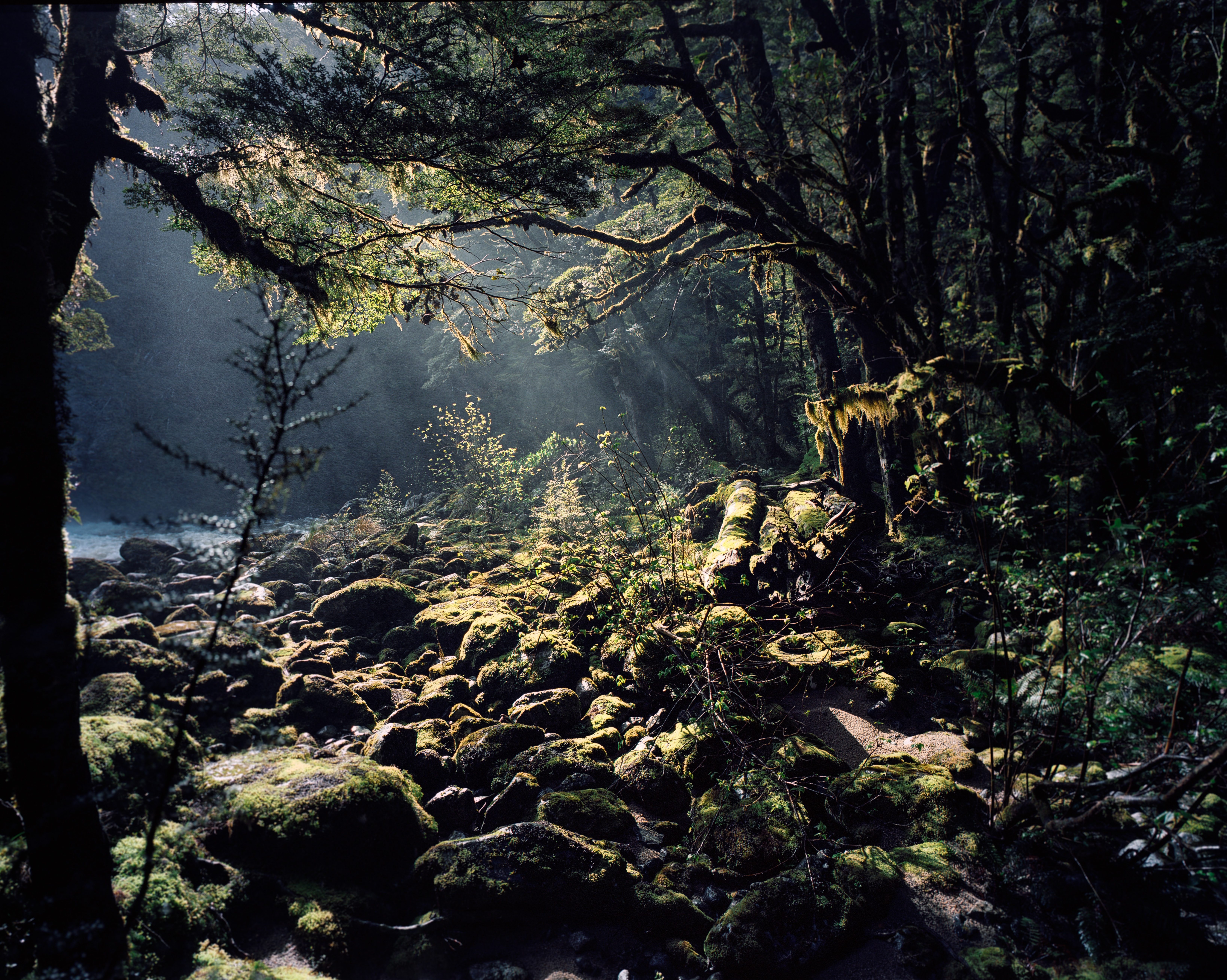 Iris Burn Falls, Kepler Track, Fiordland, South Island