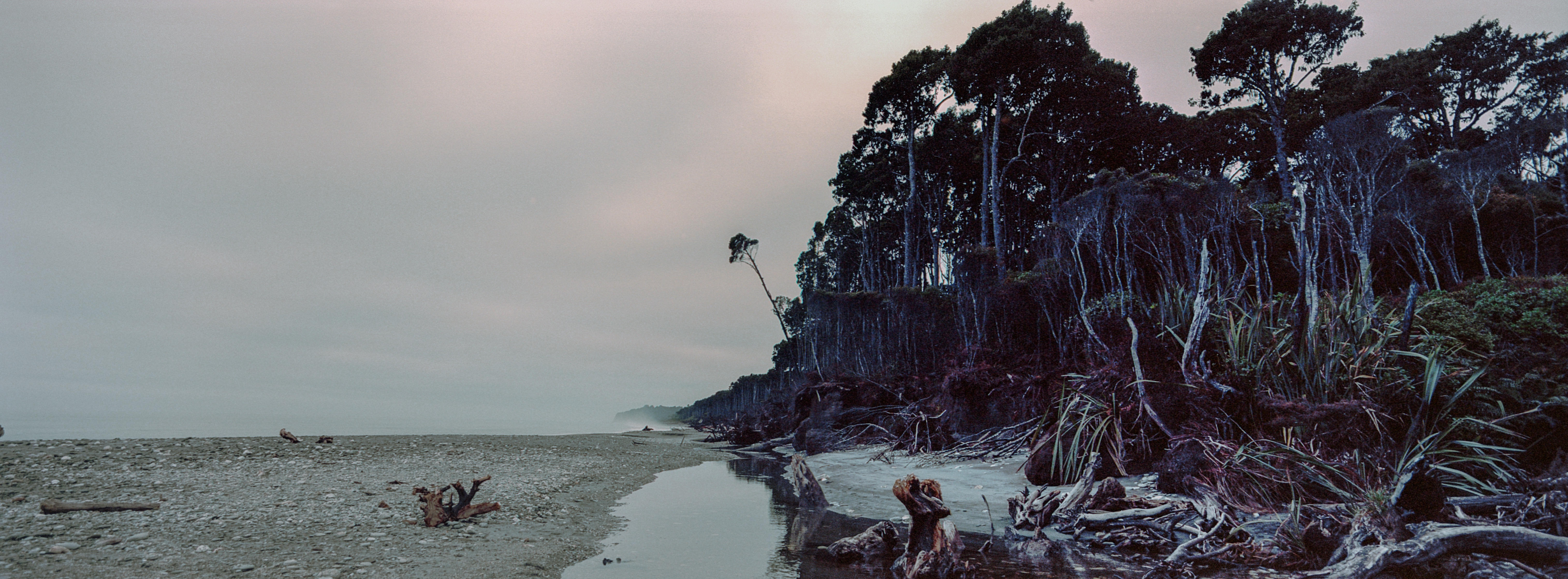 Bruce Bay, West Coast, South Island