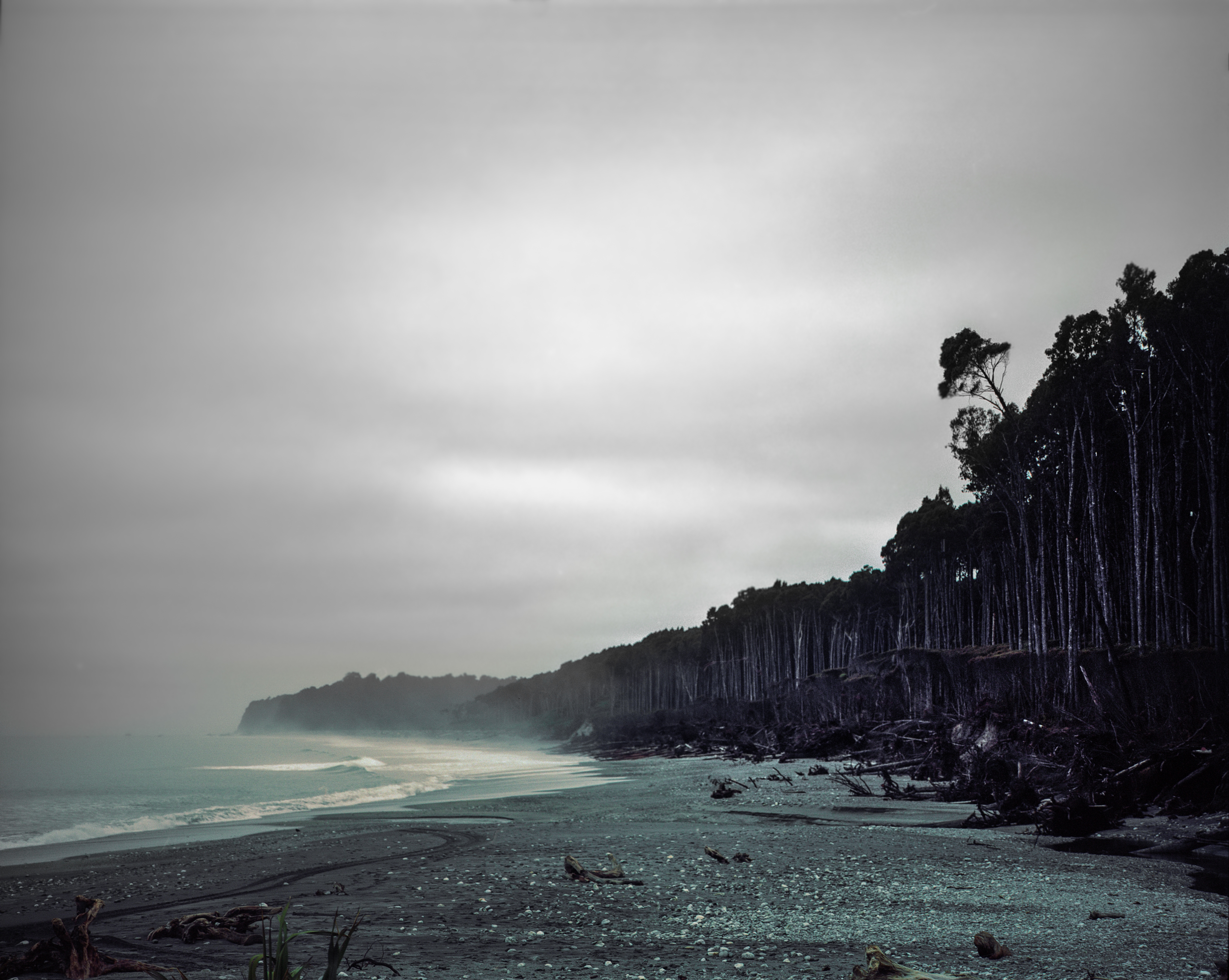 Bruce Bay, West Coast, South Island