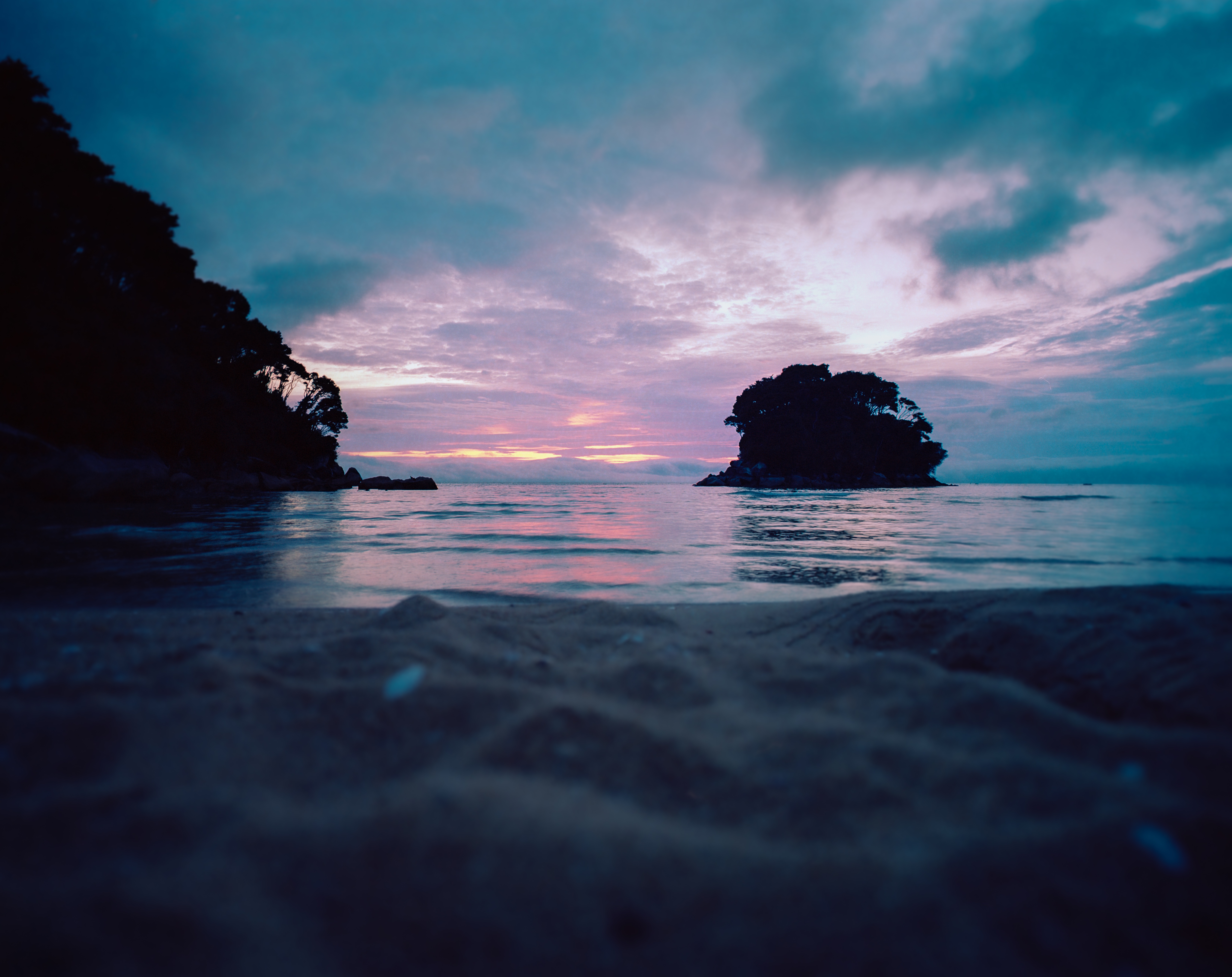 Mosquito Bay, Abel Tasman National Park, Tasman, South Island