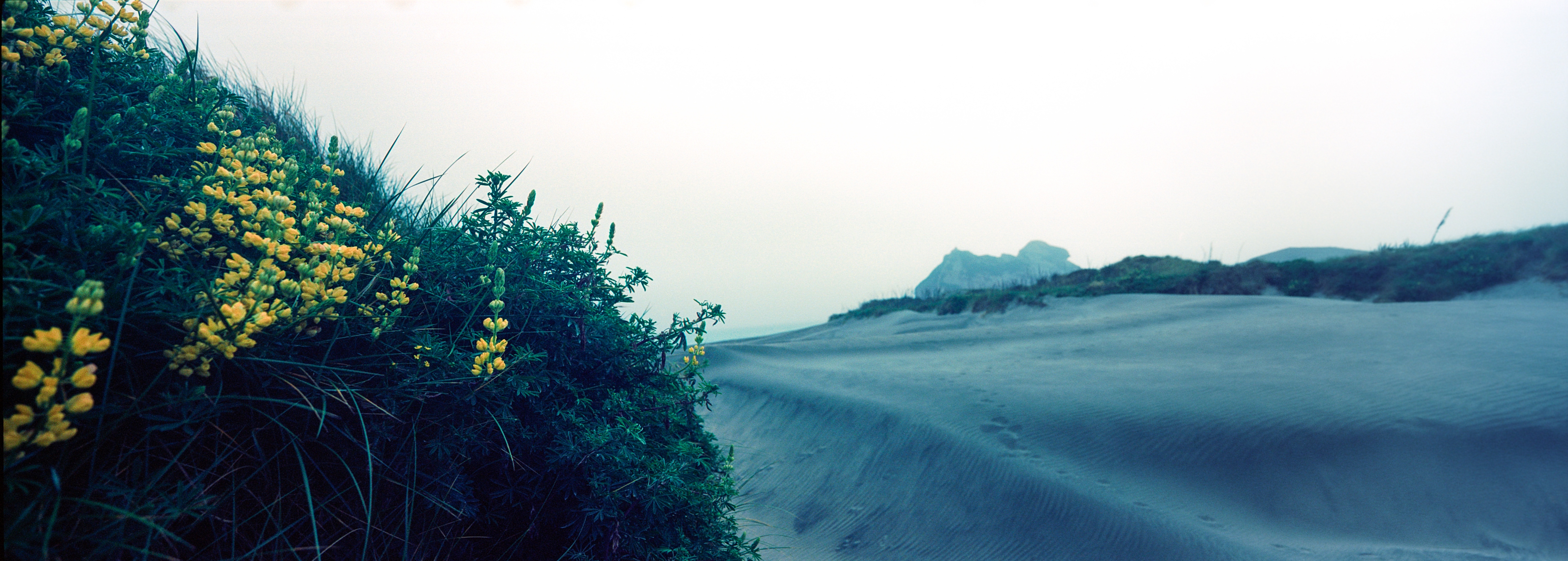 Wharariki Beach, Puponga, Tasman, South Island