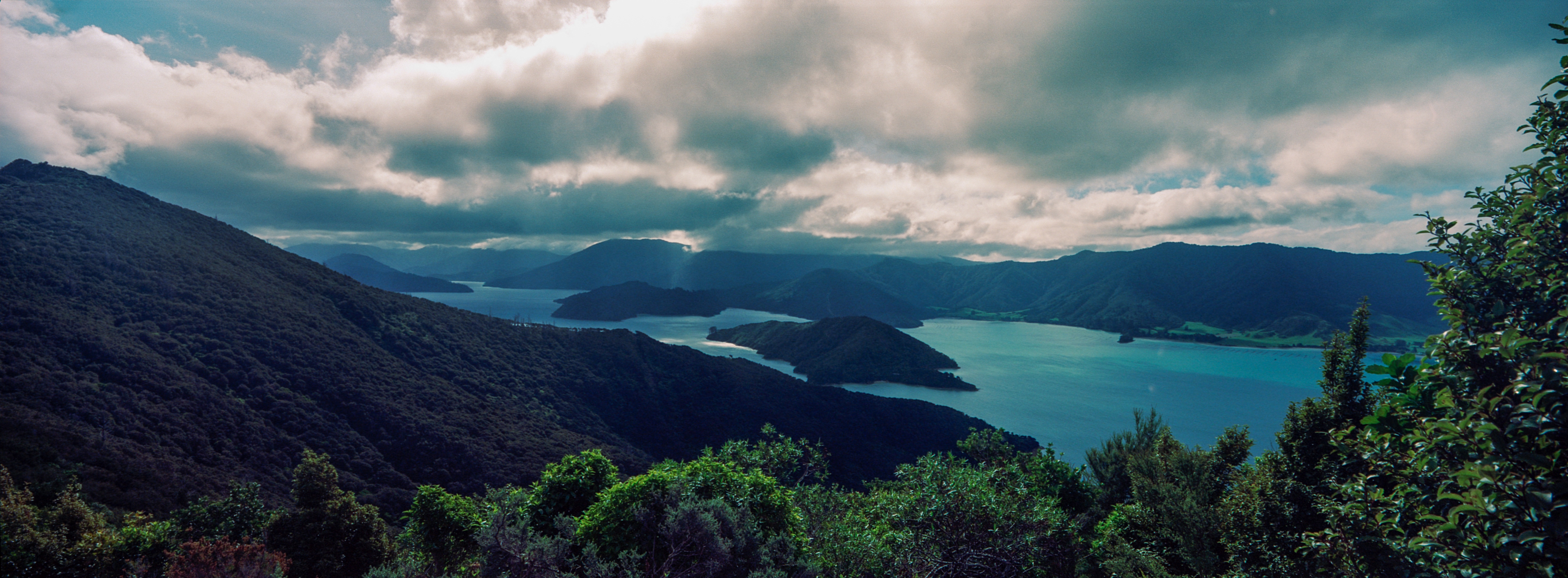 Queen Charlotte Sound, Queen Charlotte Track, Marlborough, South Island