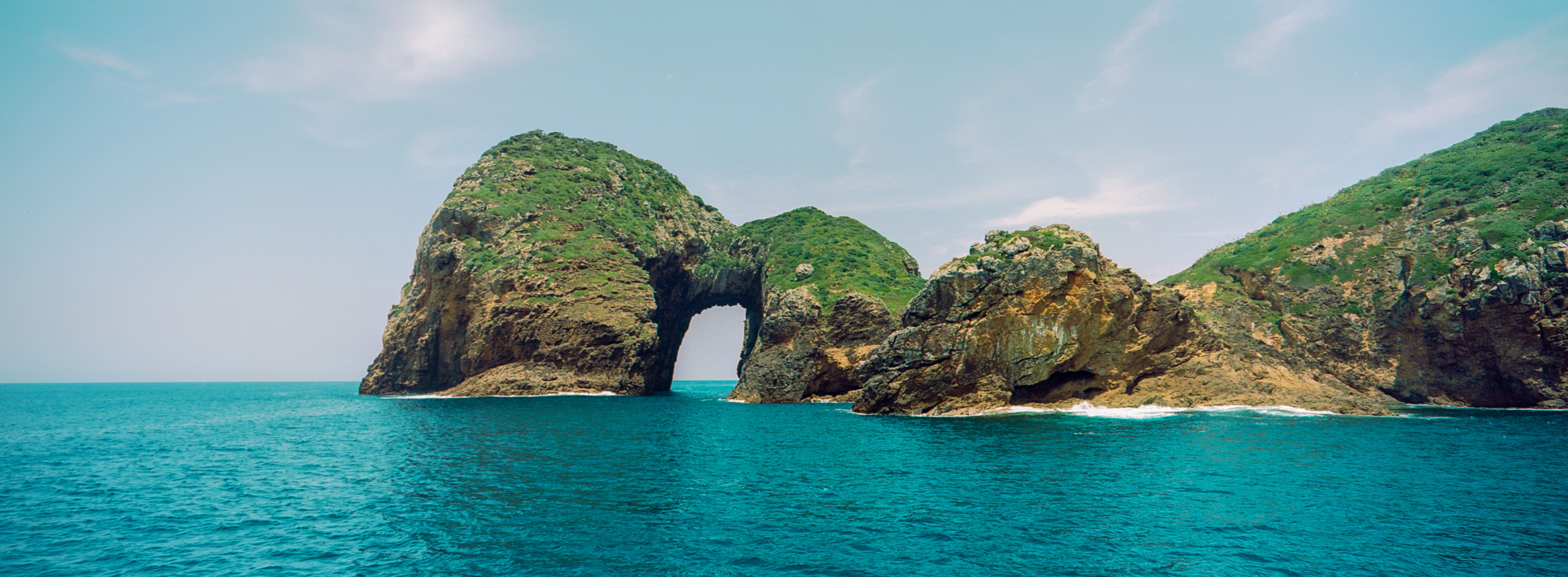 Archway Island, Poor Knights Island, Northland Region, North Island