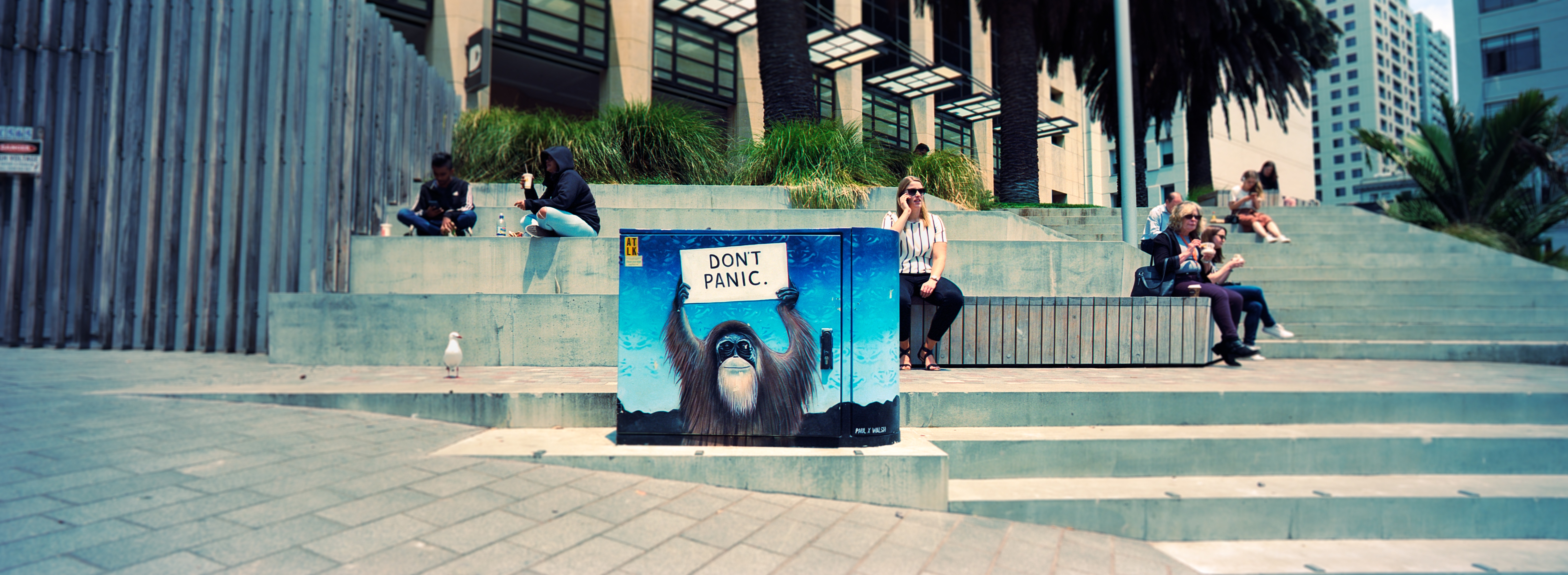 "Don't Panic" Courthouse Lane, Auckland, North Island