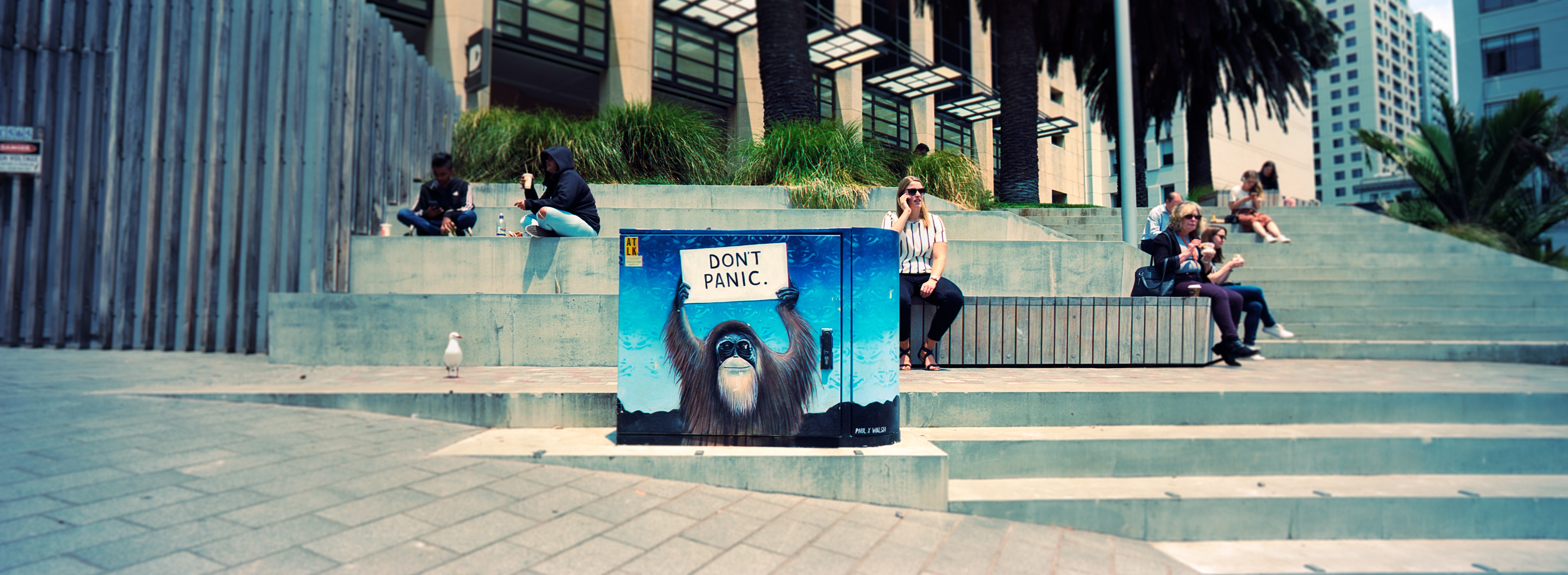 "Don't Panic" Courthouse Lane, Auckland, North Island