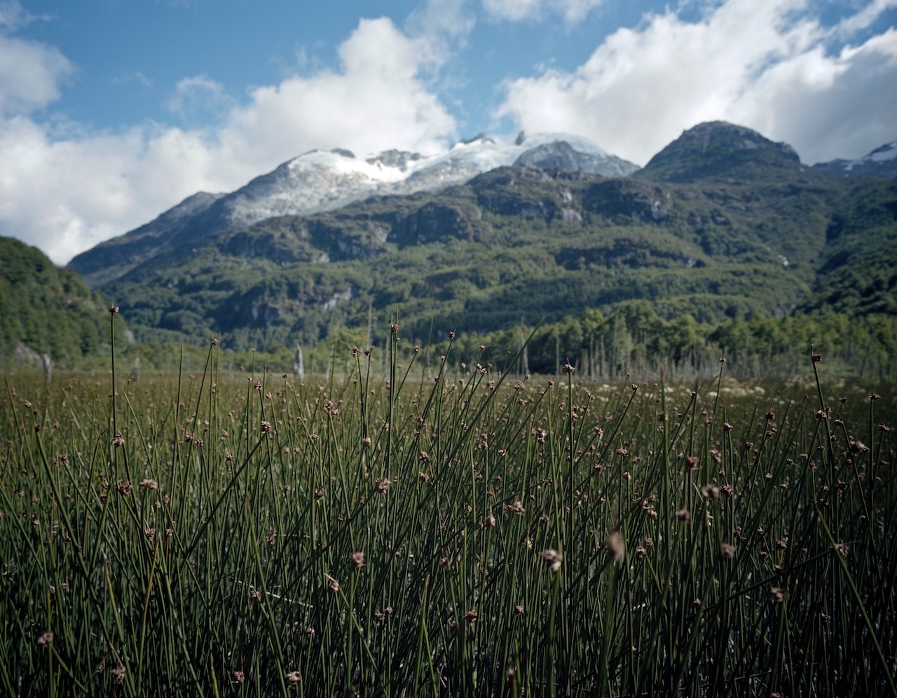 Chile, Northern Patagonia, Glaciar San Rafael