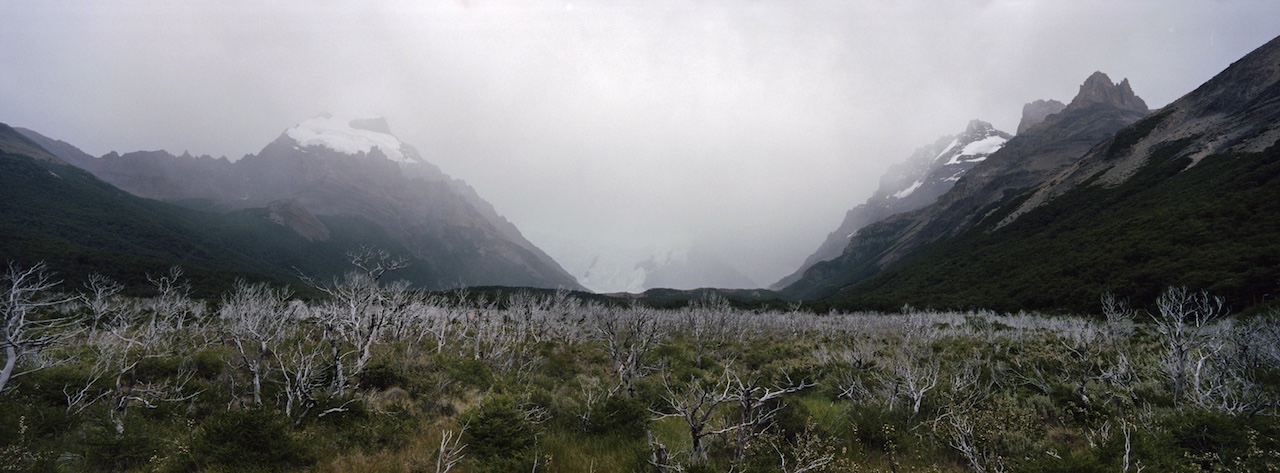 Chile, Northern Patagonia, Valle Chacabuco, Parque Nacional Patagonia