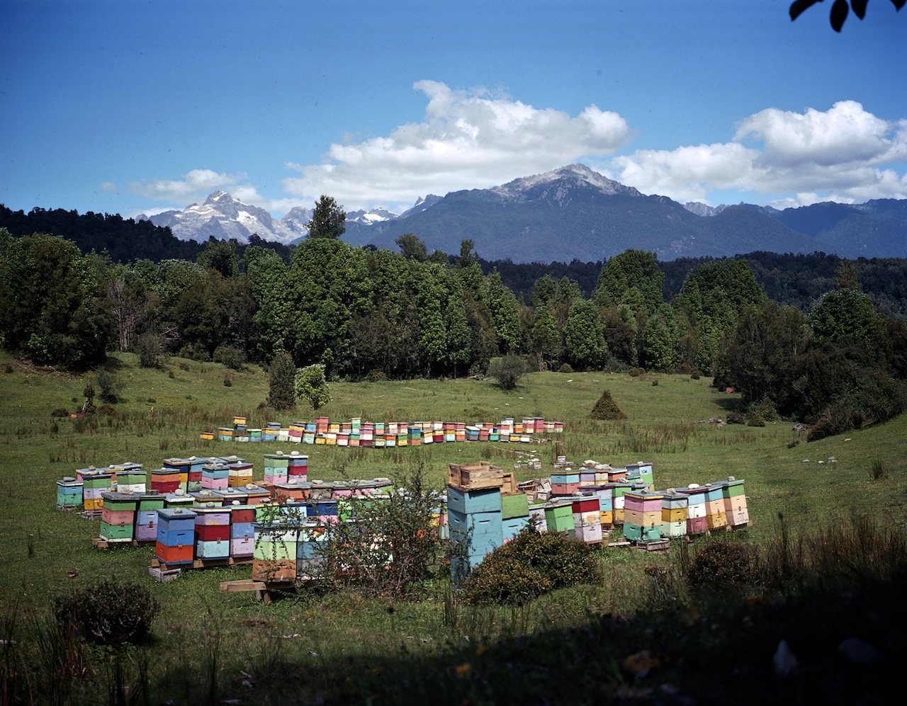 Chile, Northern Patagonia, Hornopiren