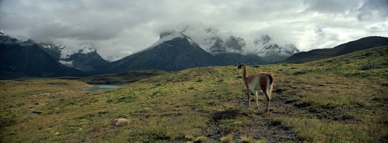 Chile, Southern Patagonia,  Torres del Paine